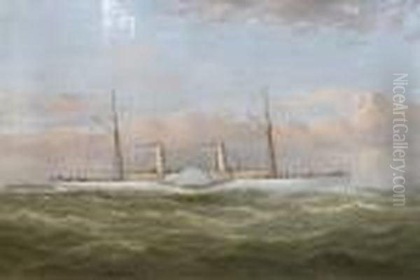 The Confederate Blockade Runner C.s.s Colonel Lamb At Sea - view 1