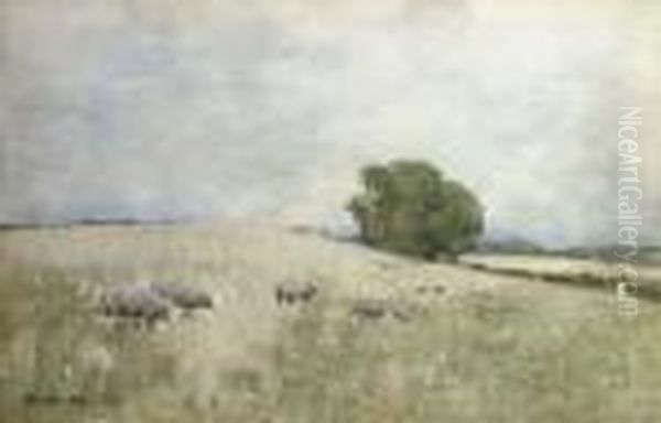Sheep In A Landscape - view 1