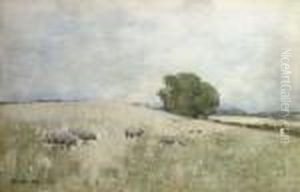 Sheep In A Landscape