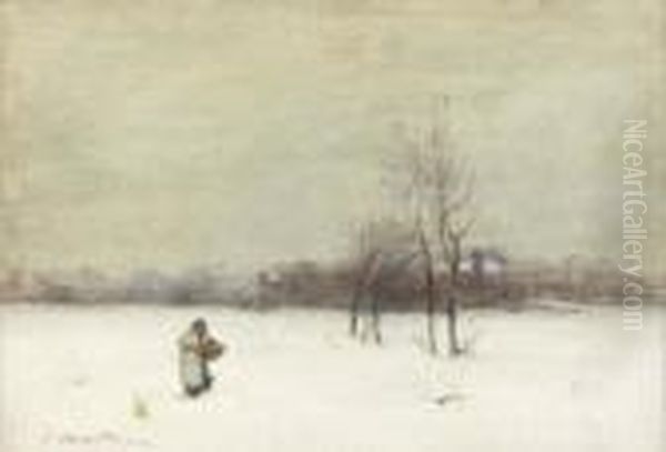 Through The Snow - view 1