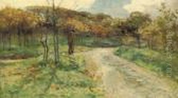 A Walk In The Woods - view 1