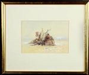 A Study Of A Saddled Camel Resting In The Desert. by Elijah Walton