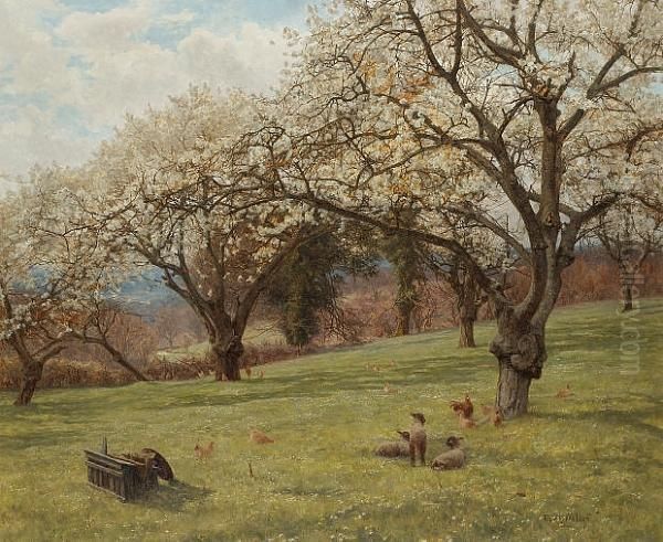 The Cherry Orchard - view 1