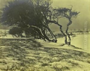 Winter Scenes by Charles Edward Wanless