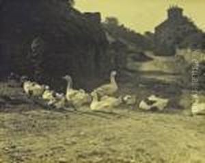 A Manx Lane Isle Of Man A Manx Lane Isle Of Man