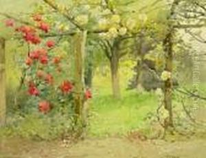 Rose Arbour Rose Arbour