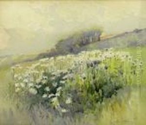 Wild Meadow Flowers by Harry Wanless
