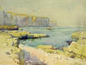 'bempton Cliffs', 'thornwick Bay Flamborough' 'bempton Cliffs', 'thornwick Bay Flamborough'