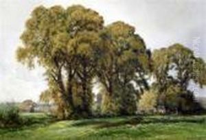 Trees In A Landscape by Cyril Ward