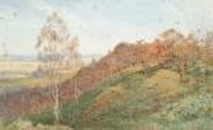 Pheasant Shooting At Brierley, Herefordshire by Cyril Ward