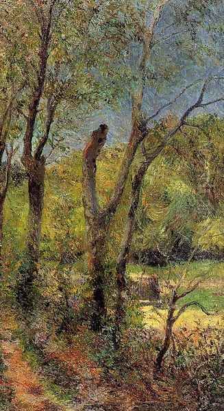 Willows - view 1
