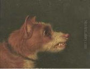 Snarling Terriers