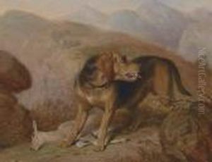 The Deer Stalker's Companion by Martin Theodore Ward