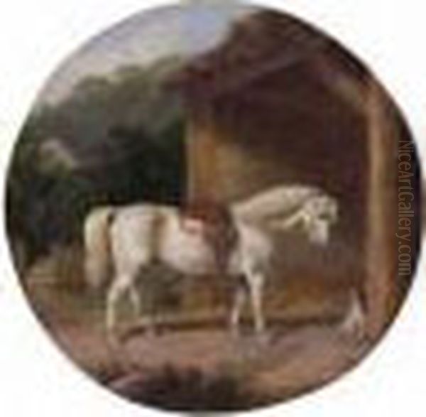 Stable Friends - view 1