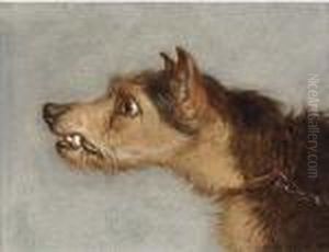 The Head Of Terrier; And The Head Of Lurcher by Martin Theodore Ward