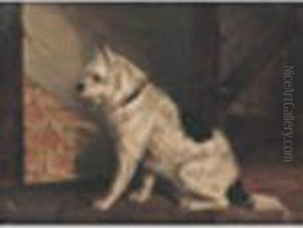 Terriers Working A Pair - view 1