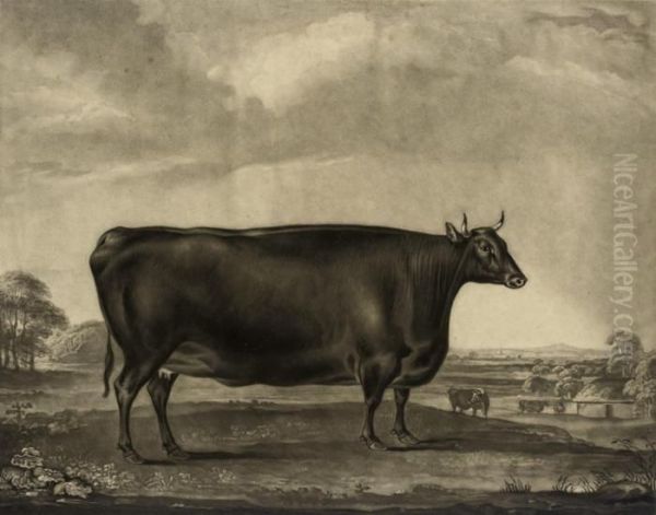 The Bradby Heifer - view 1