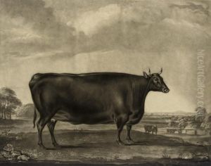 The Bradby Heifer by William I Ward