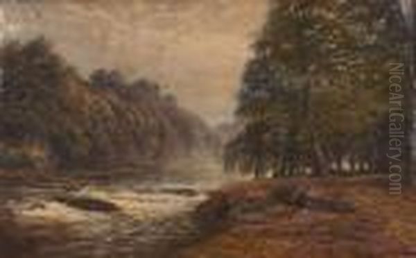 A Wooded River Landscape With Birds - view 1