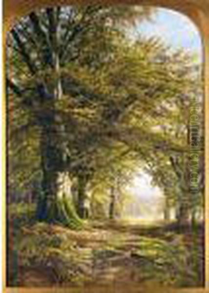 Deer In A Beech Wood - view 1