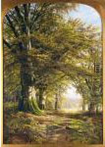 Deer In A Beech Wood by Edmund George Warren