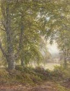 A Devonshire Lane