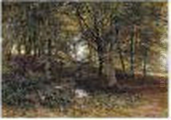 Woodland - view 1