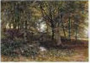 Woodland Woodland