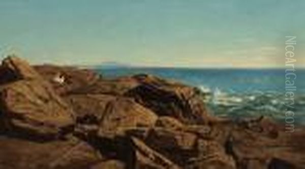 Rocky Coast, Mount Desert - view 1