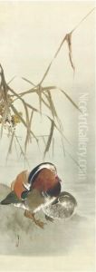 Kare Ashi To Oshidori (mandarin Ducks And Drying Reeds) by Seiti Shotei Watanabe