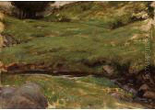 A Welsh Stream - view 1