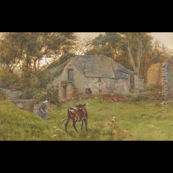 Farm In Wales - view 1
