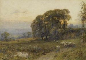 Changing Pastures At Evening. Changing Pastures At Evening.