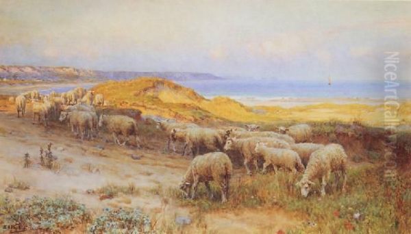 Sandhill - view 1