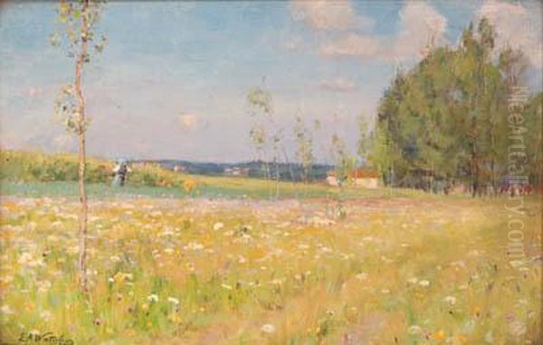 Across The Meadow - view 1