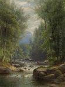 River Landscape In Summer River Landscape In Summer