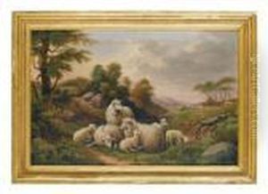 Flock Of Sheep In Pasture by Susan C. Waters