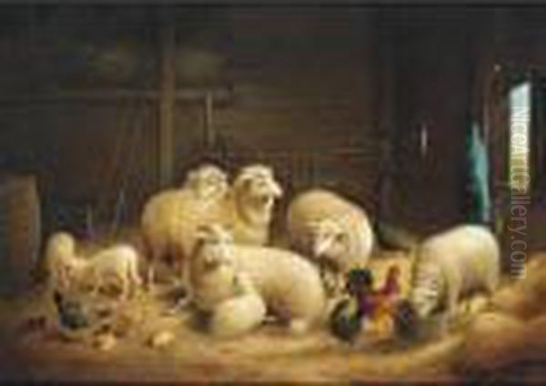 Ewes, Lambs, Chicks And Chickens In A Barn - view 1