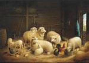Ewes, Lambs, Chicks And Chickens In A Barn