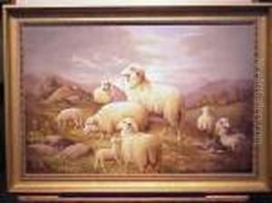 Sheep At Rest In The Hills by Susan C. Waters