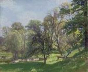 Early Spring, Dunshay