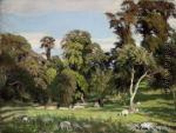 The Glade - view 1