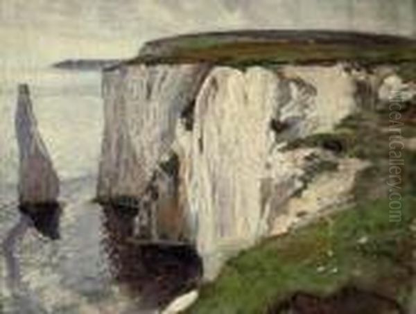 Old Harry Rocks, Swanage - view 1