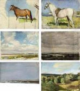A Grey Horse In A Landscape A Grey Horse In A Landscape