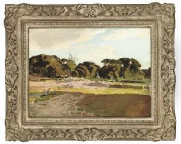 Summer Landscape - view 1