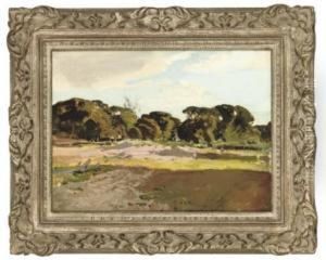 Summer Landscape