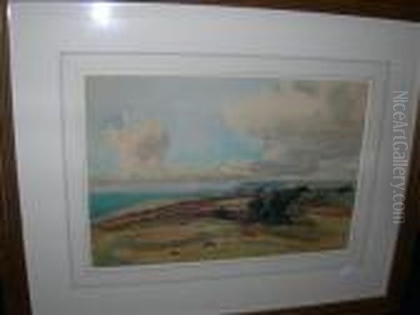 Above Warbarrow Baydorset - view 1