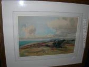 Above Warbarrow Baydorset