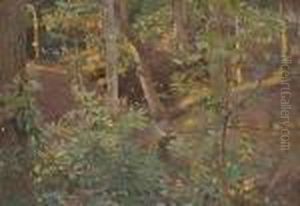 Wooded Landscape. by Harry Watson