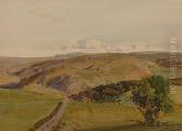 Moorland View. - view 1